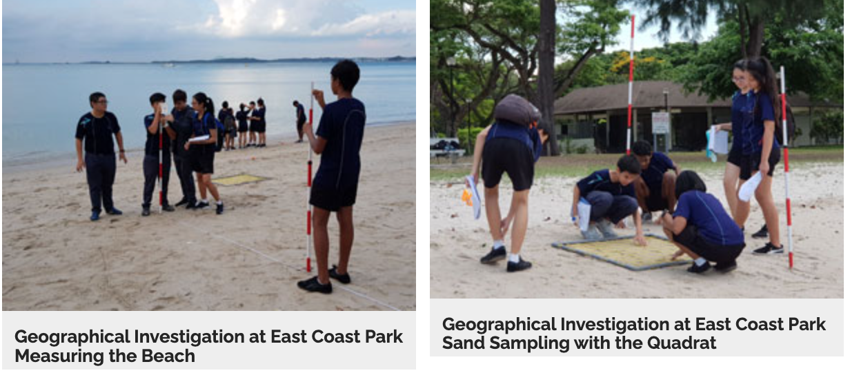 Students conduct geographical fieldwork on a sandy beach, measuring and sampling sand using quadrats and poles.